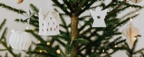 Kantar Emor: looduslik jõulupuu edestab kunstpuud, jõuluvana on oodata igasse kaheksandasse peresse
