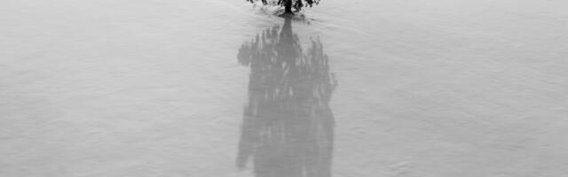 Tartu Ülikooli loodusteaduste konverentsil uuritakse kliimakriisis maailma kestlikke arenguteid