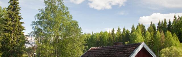 Päevahoroskoop : esmaspäev, 4. august