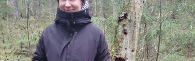 Looduskaitsjad pole rahul vaid 30% metsade kaitse alla võtmisega