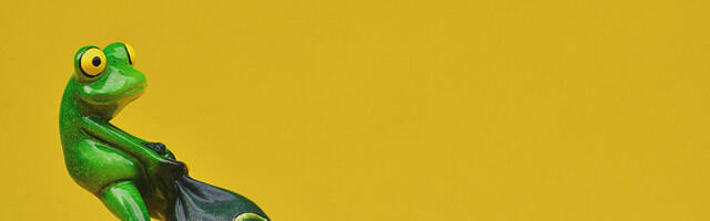 MAJANDUS ⟩ Bruce Wilds: majanduse sibula koorimine toob pisarad silma