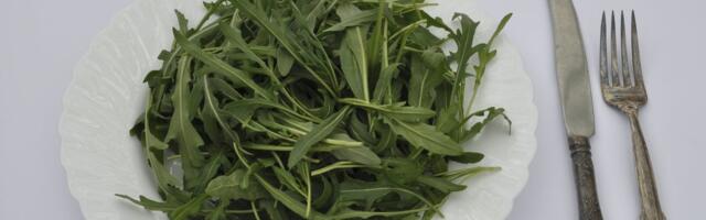 KOLUMN | Jätke taimetoitlased jõululauas rahule. Uskuge, nad endiselt ei taha verivorsti proovida