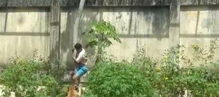 VIDEO: Brasiilias murdis lõvi loomaaias noore mehe maha NB! Nõrganärvilistele mittesoovitav