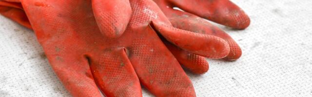 Sulev Vedler: tehke ometi need hoiu-laenuühistud korda!