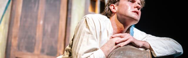 Mis asjaga sa sinise persega kärbseid tapad?