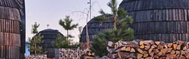 Kuhu minna, mida teha? Edasi kultuurisoovitusi – juuni