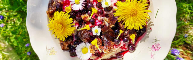 Võilill sobib smuutisse, salatisse ja pajarooga