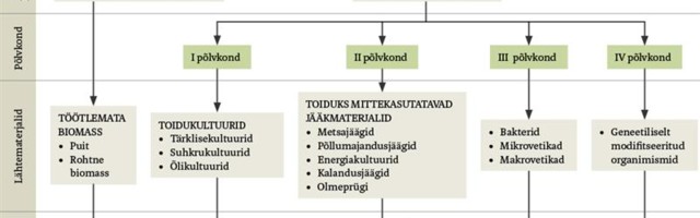 Biokütused, Eesti avastamata kuld