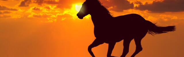 Tulihobuse aasta: just see Hiina sodiaagimärk võib kogeda suurt armuõnne