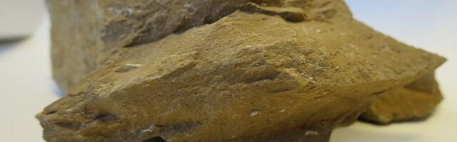 Ida-Virumaal on vaja asendust 13 000-le pensionile jäävale töötajale