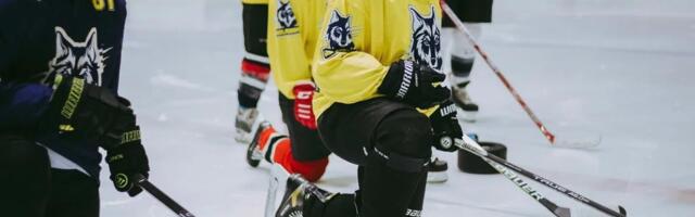 Naiste Hokiliigas kohtuvad laupäeval Tallinna HC Wolferines ja Tartu HK Säde