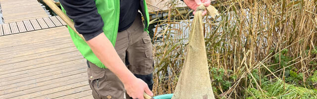 Palve kaluritele: andke teada märgistatud kaladest 