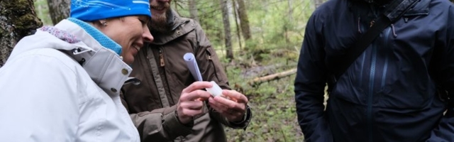 President Kersti Kaljulaid külastas lendorava elupaika