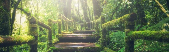 Kuidas jääda endale kindlaks, kui lähedased sind ei mõista?