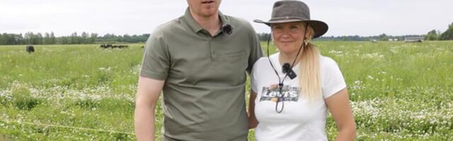 Unistus looduslähedasest elust viis wagyū tõu tipparetuseni