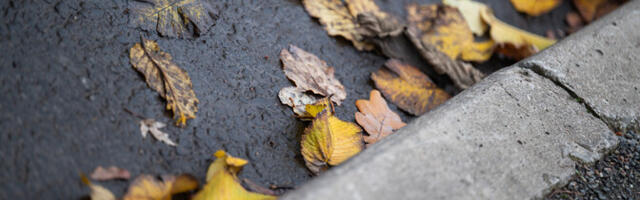 Laupäev algab kerge vihmasajuga