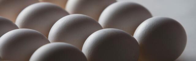 Läti linnu- ja munatootmise kontsern APF Holdings muudab ärinime