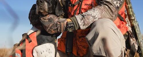 Keskkonnaagentuur avaldas 2023/2024 jahiaasta küttimisandmed