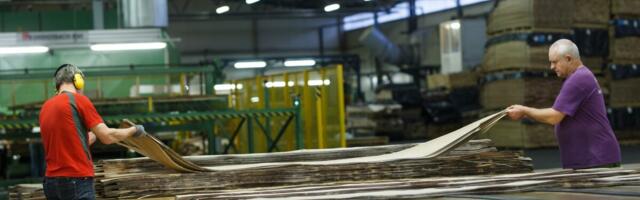 Külviku kontsern investeerib 25 miljonit vineeri