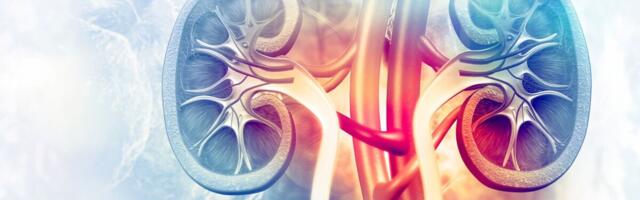 Diureetikumidel on kardioloogias kaks põhilist kasutusvaldkonda