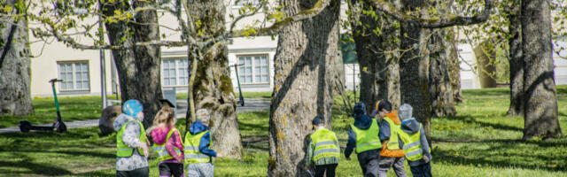 Loodusfestival kolib linna