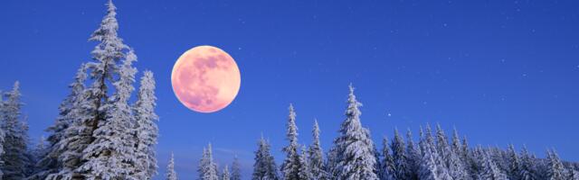 3. jaanuari superkuu ja Hundikuu toovad tugeva energia: vaata, kuidas see sinu horoskoopi mõjutab