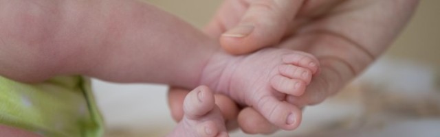 KÜSI ASJATUNDJALT | Selged vastused infokülluses: Kas koroonadiagnoosi eest tõesti makstakse 200 eurot? Kas mehed ei tohi enam sünnitusmajja külla tulla?