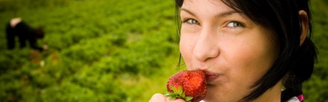 MAGUSAD KASUMID: maasikakasvatajetel käsi kullas