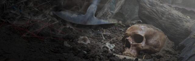 «Te tahate öelda ... et tegemist on inimese kontidega?»