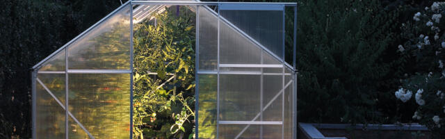 Hea lahendus, kuidas taimi puhkuse ajaks mitte janusse jätta