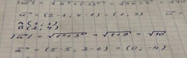 Эстонские школьники все чаще вынуждены обращаться к репетиторам