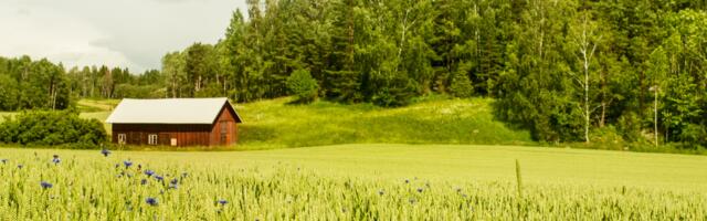 Päevahoroskoop : laupäev, 21. juuni