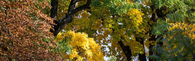 Kolmapäev tuleb selge ja vähese pilvisusega