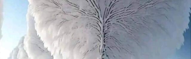 ILM: Neljapäev 29.01.26 – Külma kuni -13°C