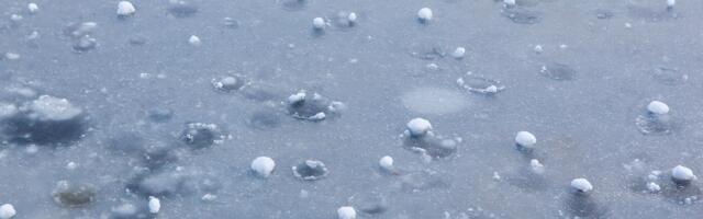 Euroopa kõigi aegade suurim rahekamaka läbimõõt on 19 cm