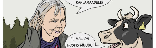 Nädal pildis