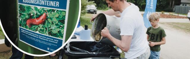 GALERII | KOLLEKTIIVNE PINGUTUS! Haaberstis toimus esmakordselt Hispaania teetigude korjamise võistlus