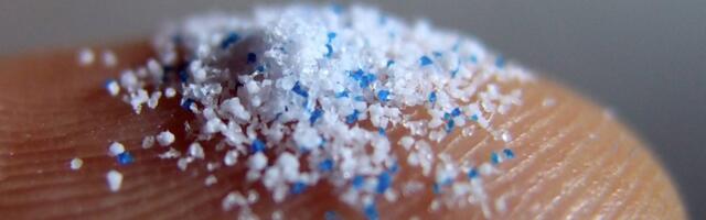 Rein Munter_ me joome teiste inimeste ravimeid ja sööme sisse krediitkaarte!