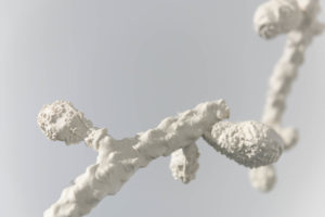 Eike Epliku näitus “Biomass – kummitus nurgas” Kogo galeriis 13.– 30. maini