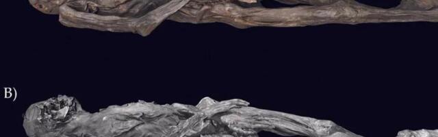 Tänapäeval oleks raske järgi teha_ 2500 aasta vanuselt Siberi muumialt leiti keerukad tätoveeringud