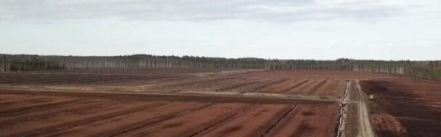 Uuring: soojem kliima võib peatada Balti turbamaade kasvu