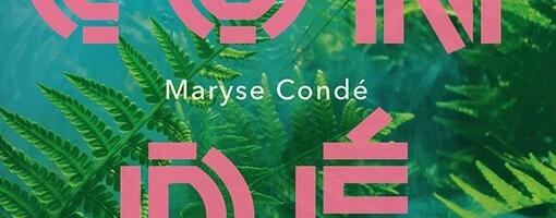 Piisake Kariibi kirjandusmerest