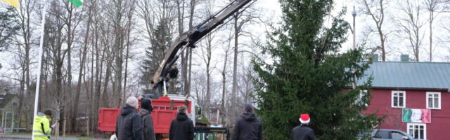 GALERII | Kärdla linna jõulukuusk tuli tänavu Linnumäe külast