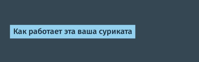 Как работает эта ваша суриката