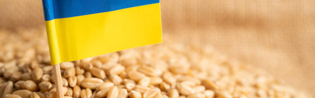 Eesti eraldas 50 000 eurot Ukraina algatusele “Vili Ukrainast”