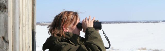 Kaitsealune pind on kasvanud