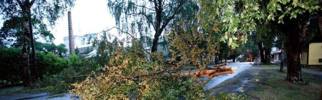 Ilmateenistus hoiatab: neljapäeval möllab Eestis tormituul