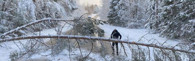 ILMATEADE | Briti saari räsiv ohtlik keeris jõudis Eestisse, puhub tormituul