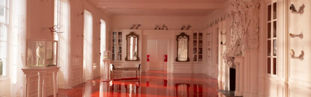 Kas Vihurimäe võimsad võnked võidavad meie Erika?