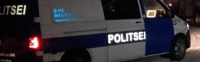 Politsei pidas kinni Viljandimaal kaht last noaga rünnanud naise